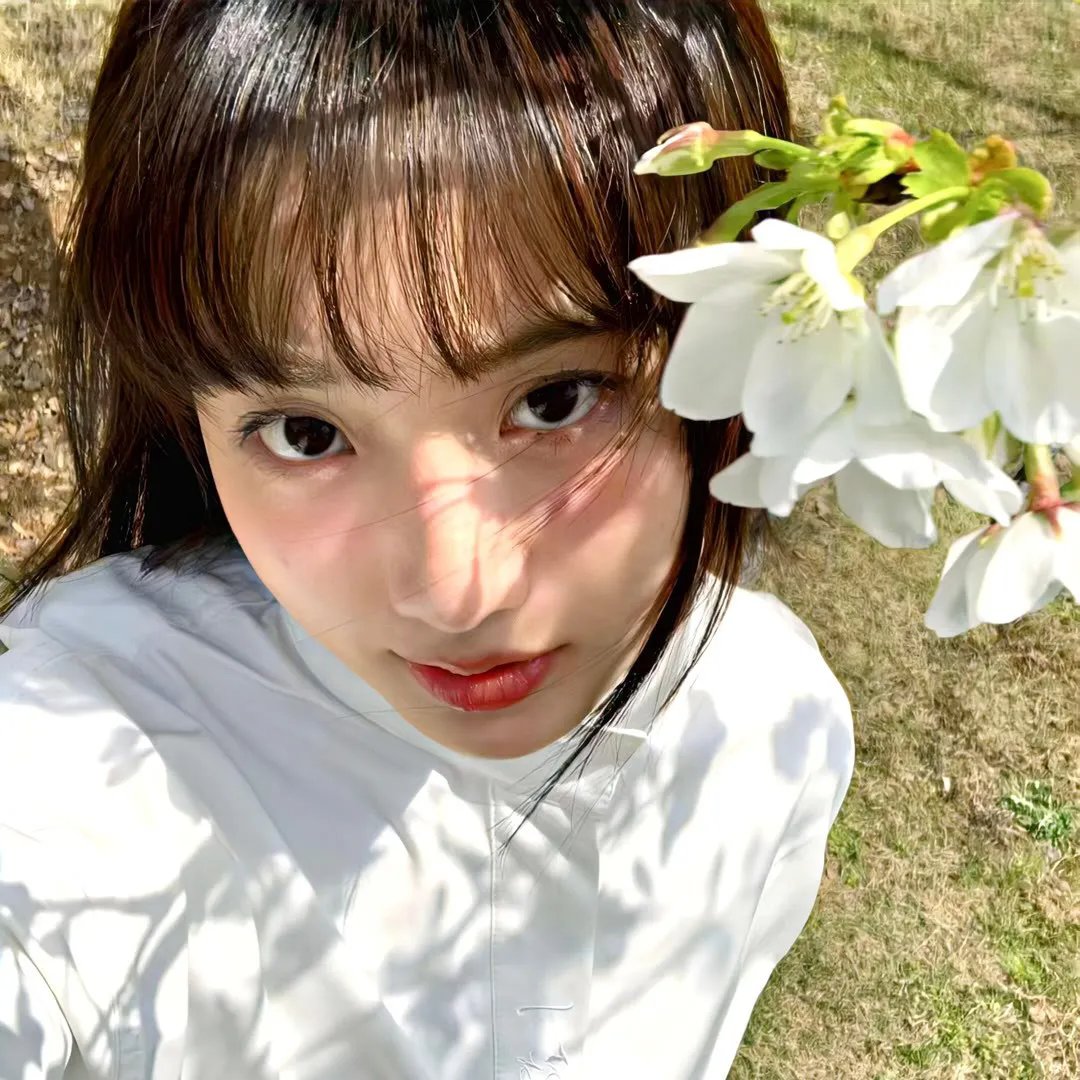 杜鹃花红